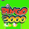 Bingo 3000